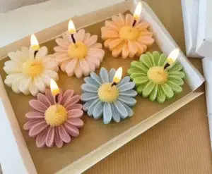 Rohinara scented daisy flower Candles