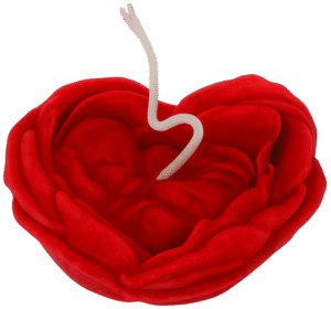 Rohinara scented handmade flower with baby Candles