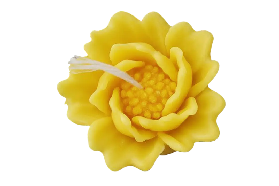 Rohinara scented flower Candles