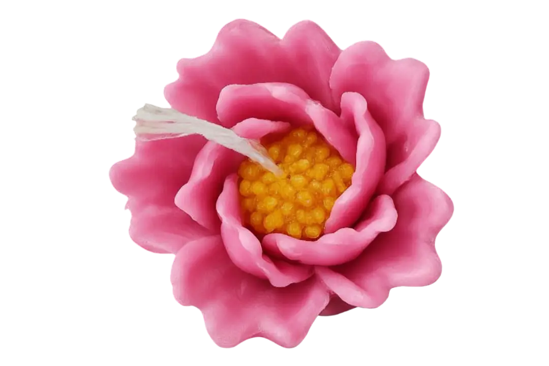 Rohinara scented flower Candles