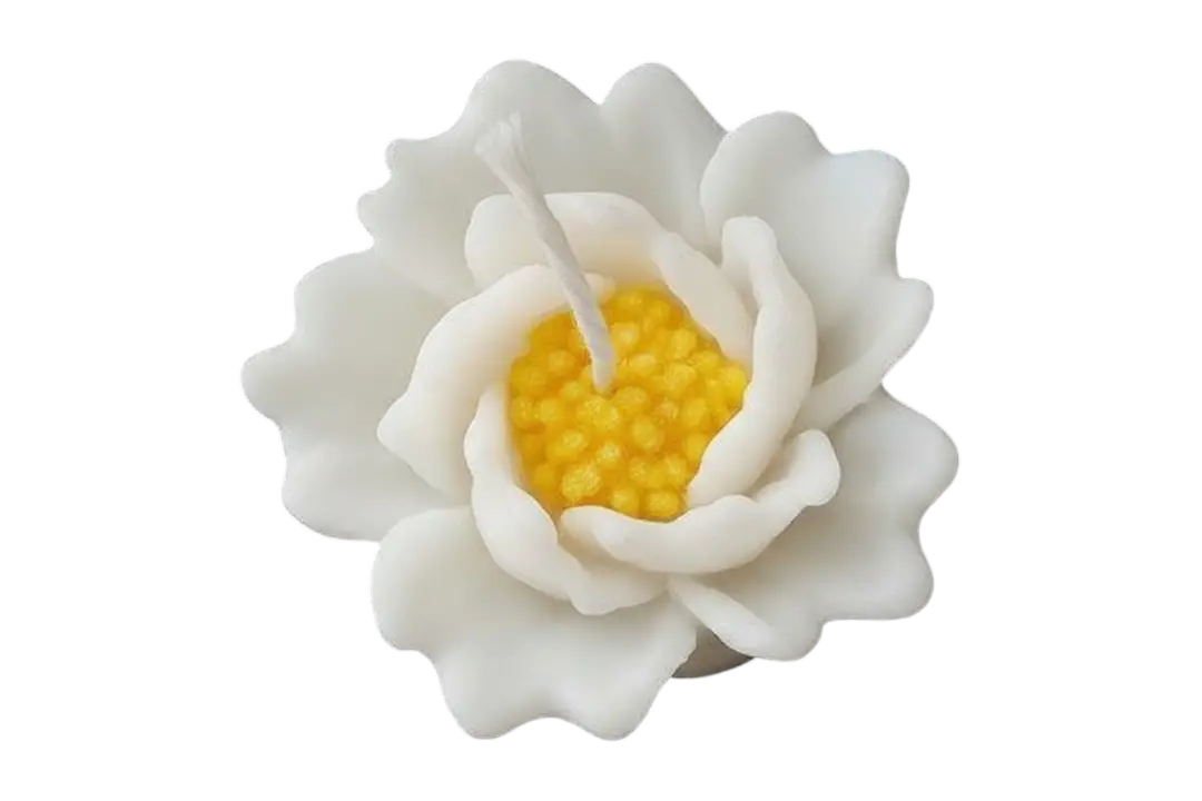 Rohinara scented flower Candles