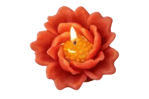 Rohinara scented flower Candles