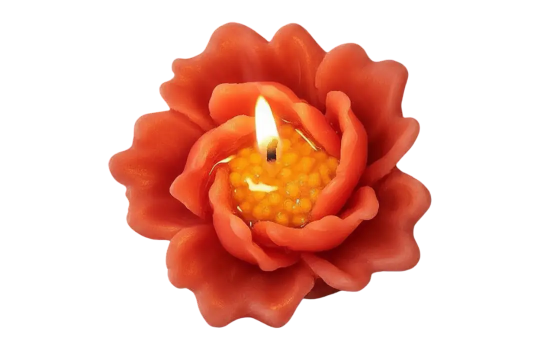 Rohinara scented flower Candles