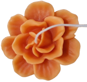 Rohinara scented handmade daisy flower Candles