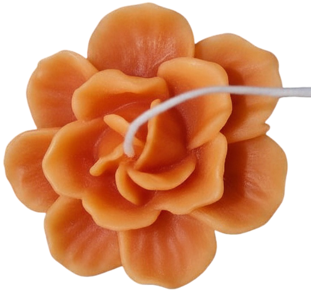 Rohinara scented handmade daisy flower Candles