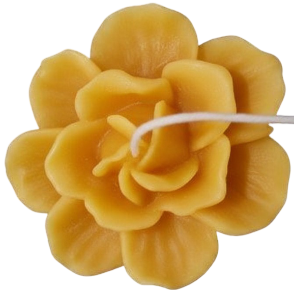 Rohinara scented handmade daisy flower Candles