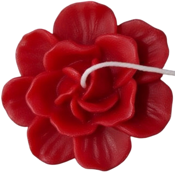 Rohinara scented handmade daisy flower Candles